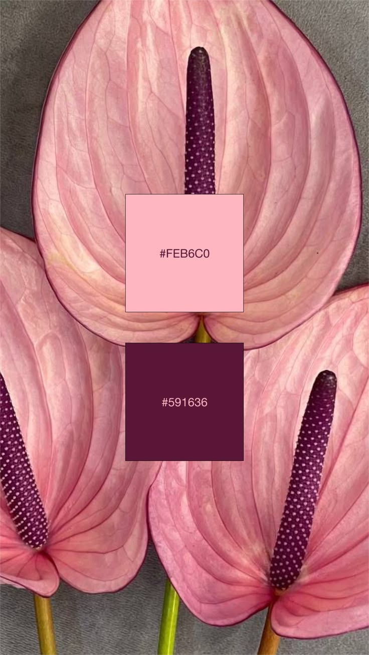 Outfit Colour Combinations from Nature